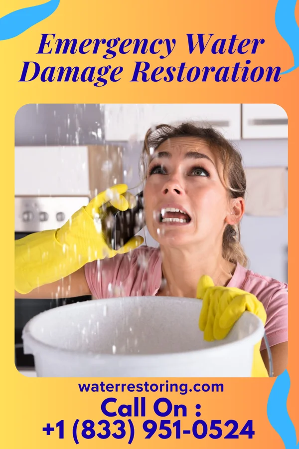 Emergency Water Damage Restoration in Bibo, NM