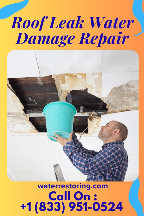 Roof Leak Water Damage Repair in Bibo, NM