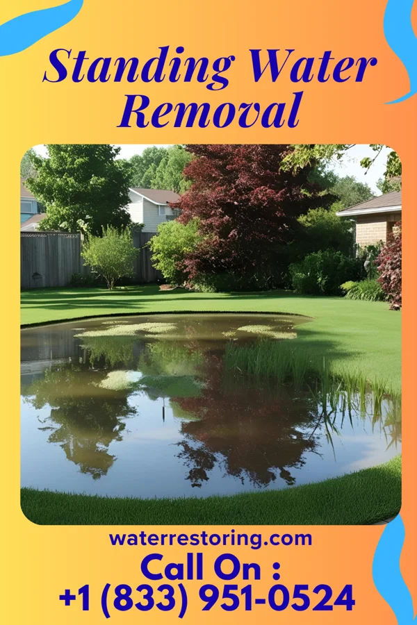 Standing Water Removal in Bibo, NM